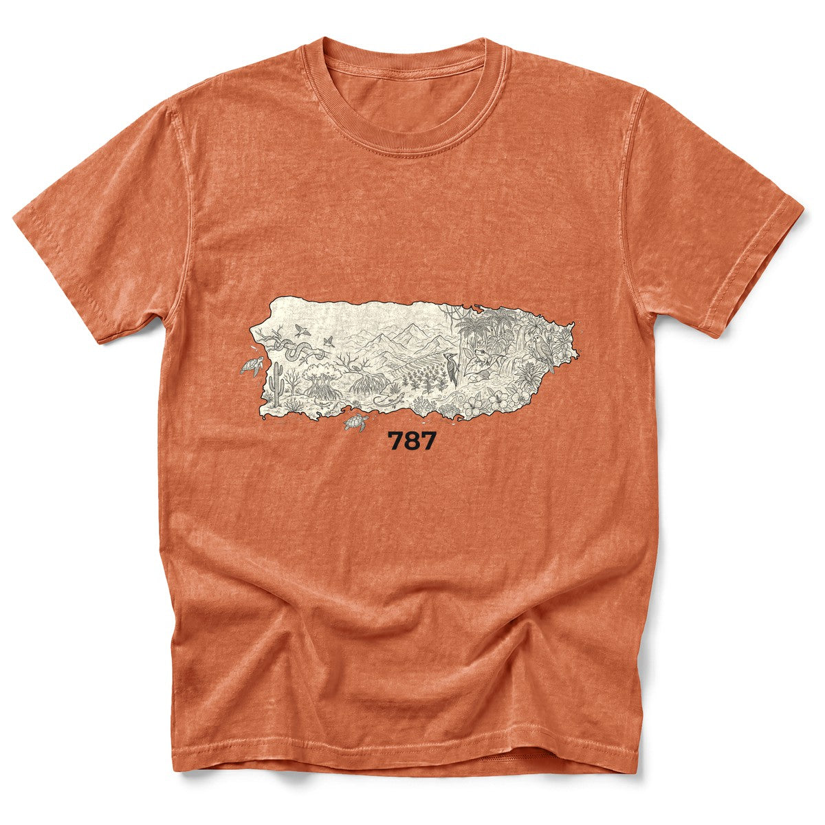 Cultura Estampada — Yam
