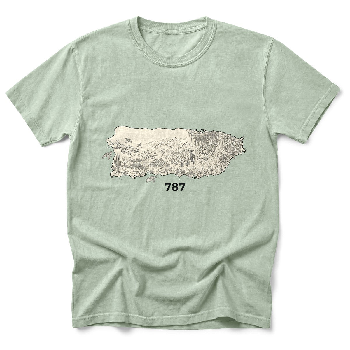 Cultura Estampada — Bay
